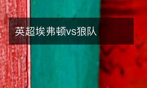 英超埃弗頓vs狼隊