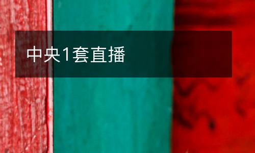 美國(guó)藍(lán)隊(duì)vs美國(guó)白隊(duì)