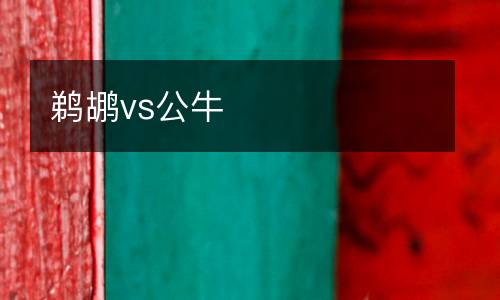 鵜鶘vs公牛