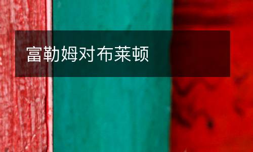 富勒姆對(duì)布萊頓