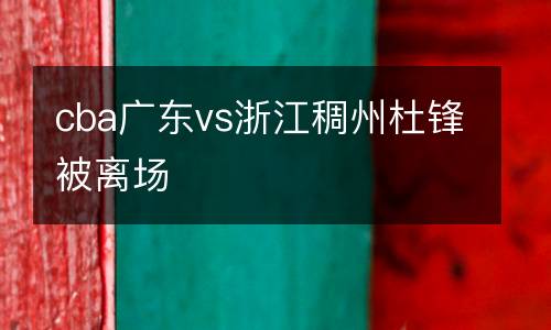cba廣東vs浙江稠州杜鋒被離場