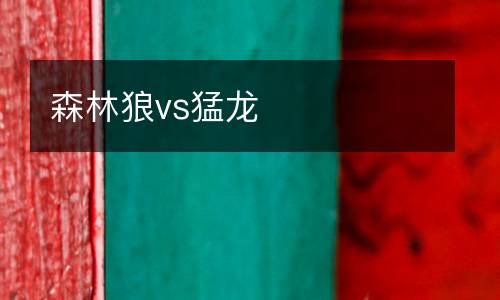 森林狼vs猛龍